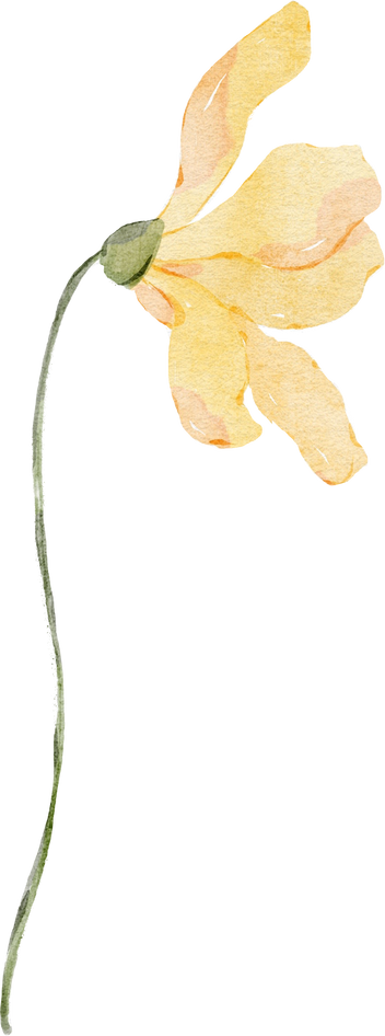 Watercolor yellow wildflower